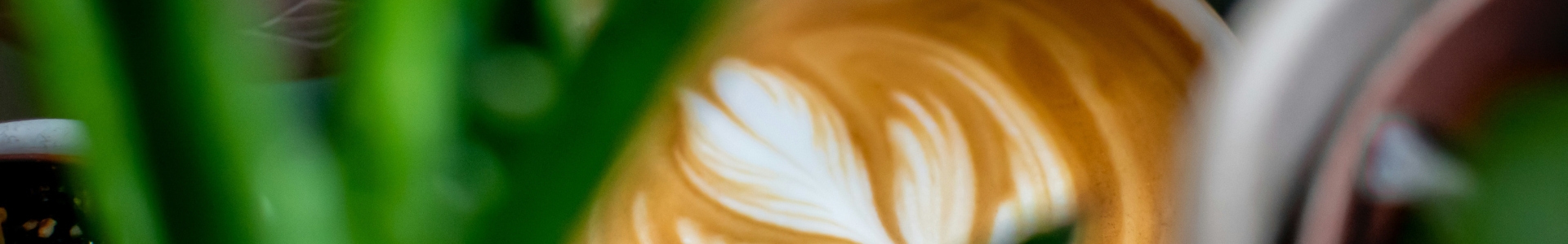 Latte Art Kaffee hinter Pflanzen
